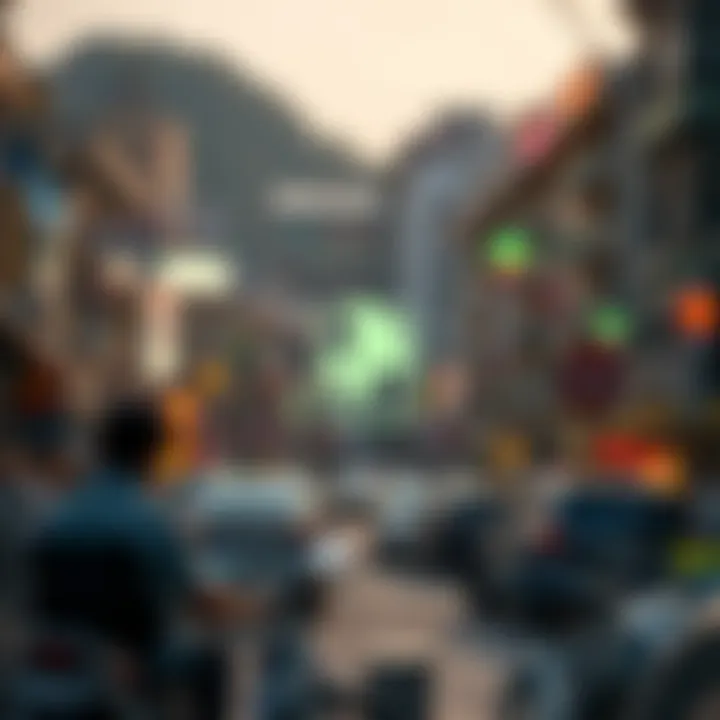 Exploring the BitNestled Ecosystem A graphical overview of the BitNestled ecosystem