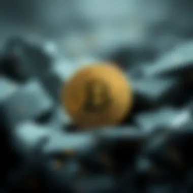 Infographic showing technical characteristics of Blossery Coin