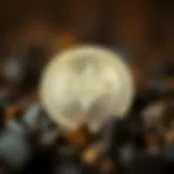 Conceptual representation of digital currency