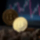 Understanding cryptocurrency basics