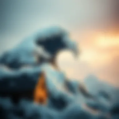 Critiques and alternatives to Elliott Wave Theory