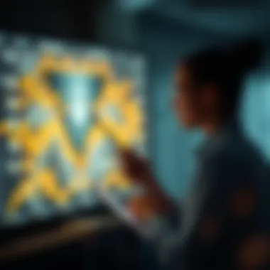 Graphical depiction of data ownership and privacy