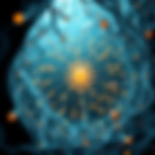 Understanding the Structure of the Deep Web Visual representation of deep web structure