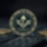 Conceptual representation of ELS Coin's unique features
