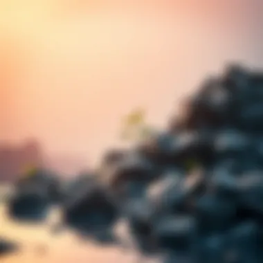 Environmental impact of ethers focusing on sustainability