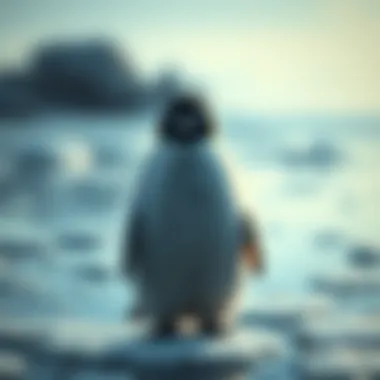 The Unique Appearance of the Fuzzy Penguin A fuzzy penguin standing on ice