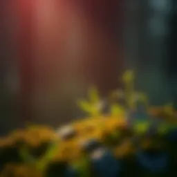 Conceptual illustration of grasscoin and its ecosystem