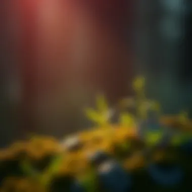 Understanding the Grasscoin Ecosystem Conceptual illustration of grasscoin and its ecosystem