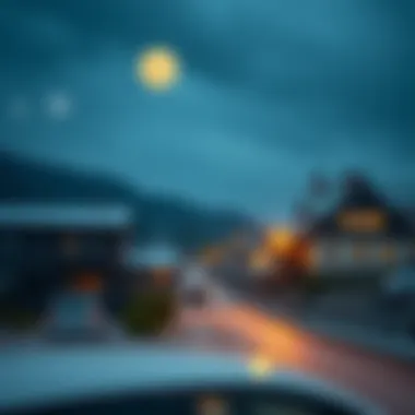 Investment Landscape of Maro Coin Investment opportunities in Maro coin