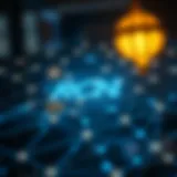 Decoding the Decentralized: RCN Framework Illustration of a decentralized blockchain network