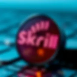 Skrill logo showcasing digital payment capabilities